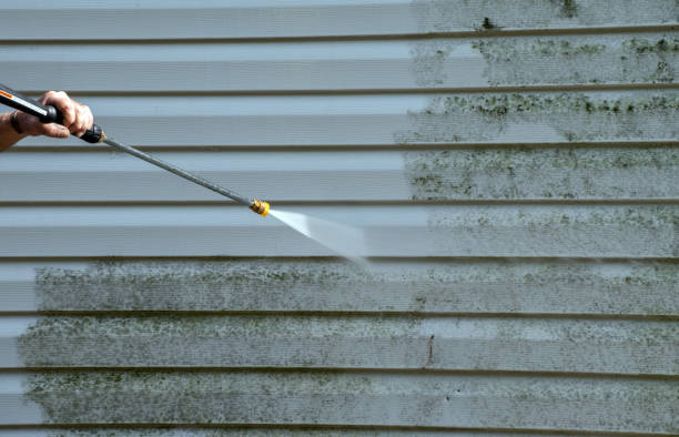 Best Mold Remediation for Specific Building Types in Schulenburg, TX