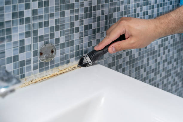 Best Kitchen Mold Remediation in Schulenburg, TX